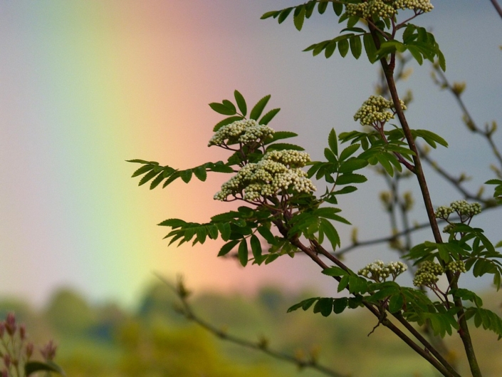 Beyond The Rainbow – Leisha Mofford Beyond The Rainbow - Leisha Mofford