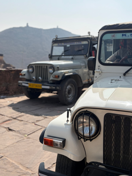 Jeeps by Leisha Mofford