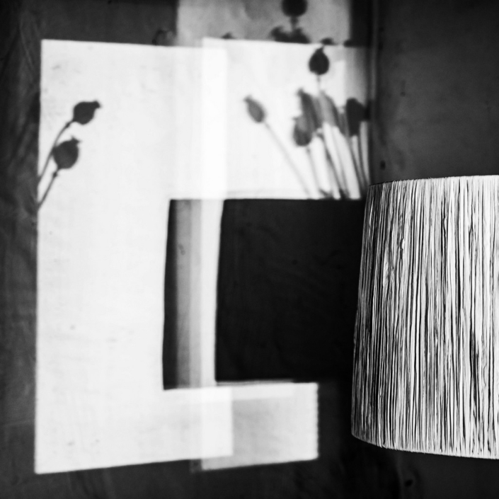 Lamp Shade - David Kallmeier
