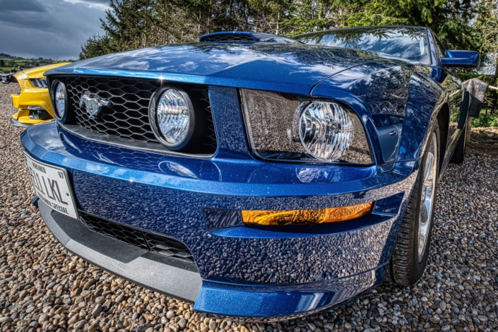Mustang by Alastair Bell