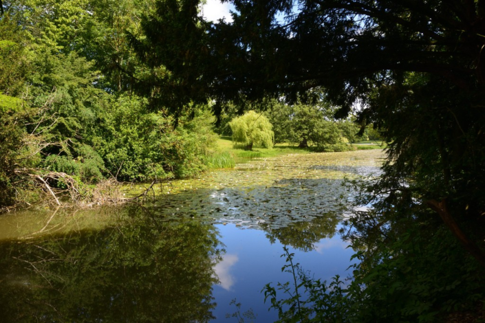 Still Waters – Chris Bowers