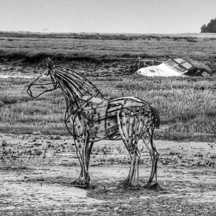 Stuck In The Mud – Andrew Jackson