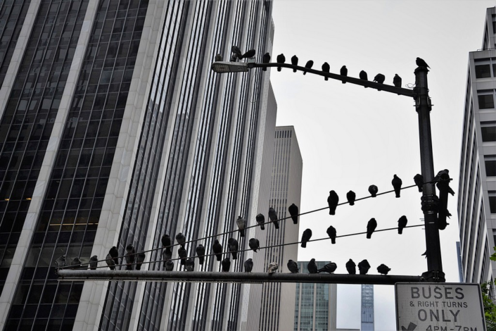 The City That Sometimes Sleeps – Chrissie Shun