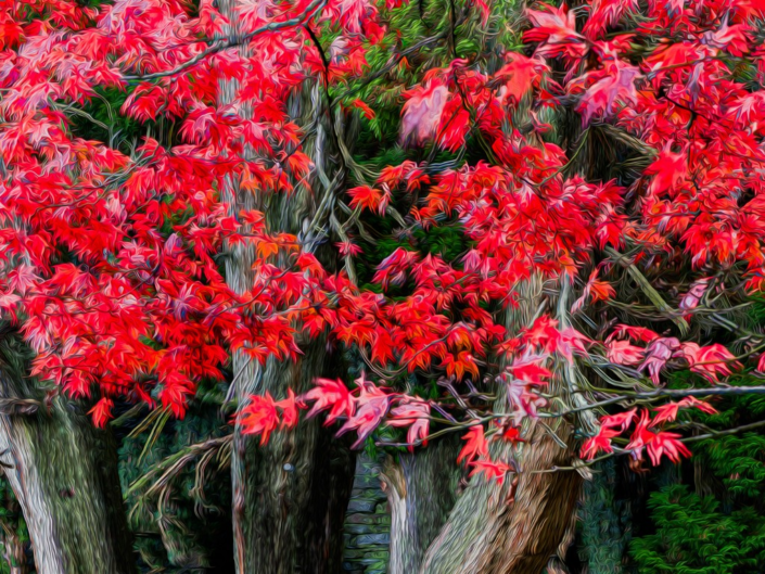 Autumn Colours by Pyers Tucker