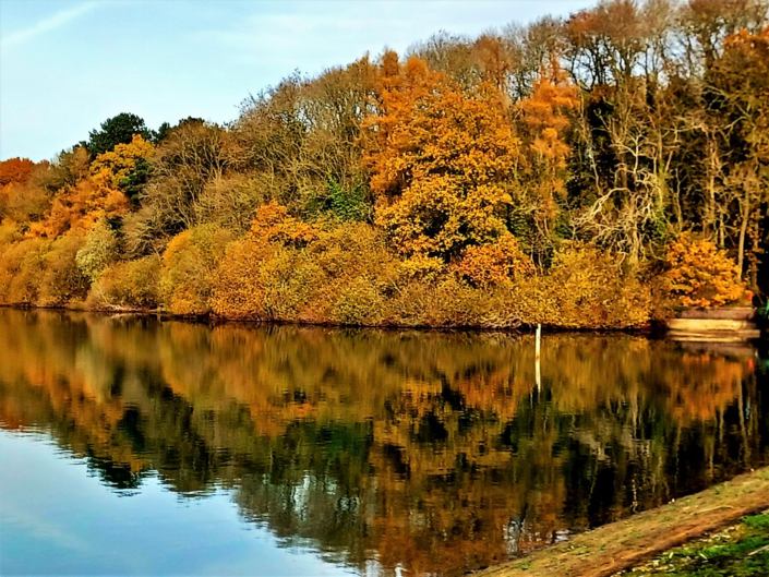 Autumn Glory At Ravensthorpe – Chrissie Shun