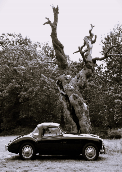 Back In Time by Chrissie Shun