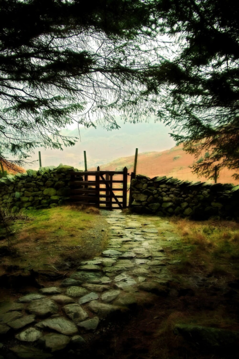 Beyond The Gate The Hills – Alastair Bell
