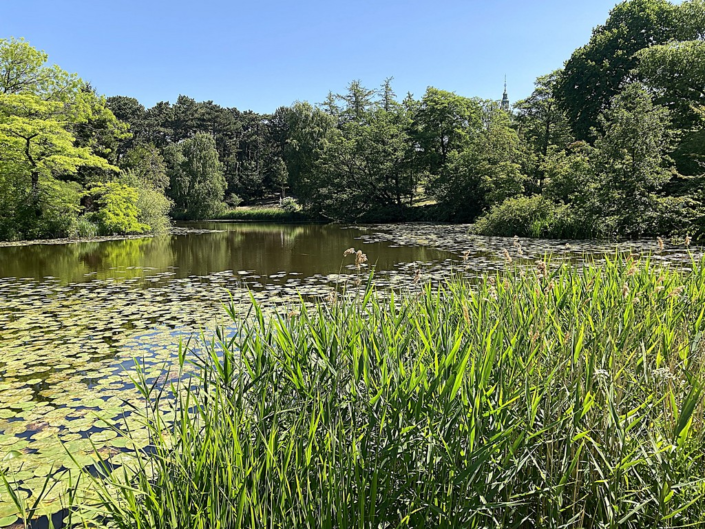 Copenhagen – Graham Fowler