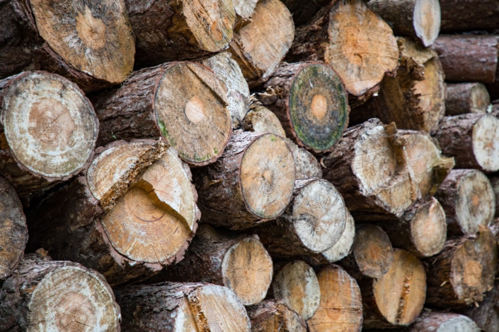 Logs – Tony Teague
