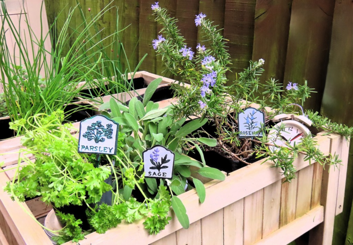 Parsley, Sage, Rosemary And …TIme by Chrissie Shun