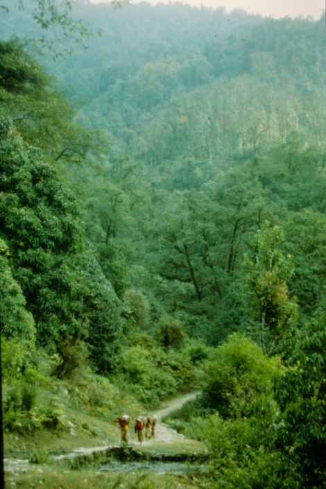Path To Annapurna – Jon Gilbert