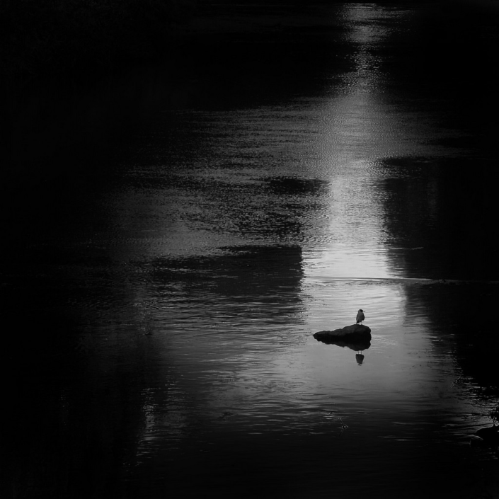Paul’s River – Alastair Bell