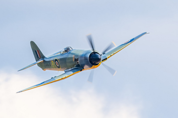 Hawker Sea Fury by Pyers Tucker