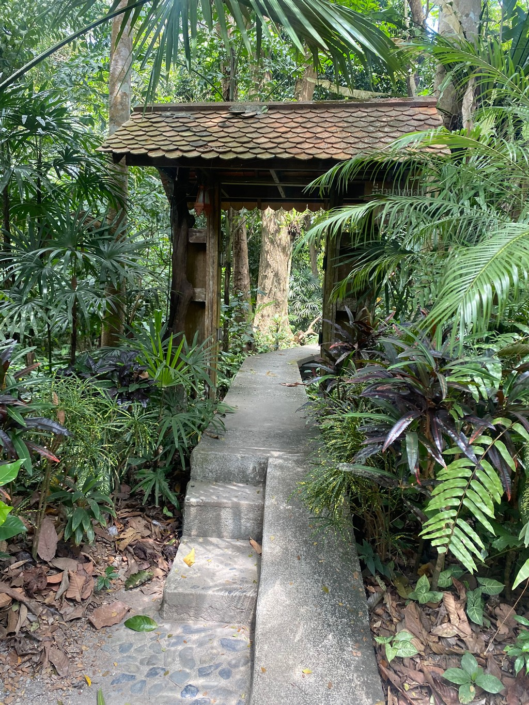 Stairs Or Slope – Leisha Mofford