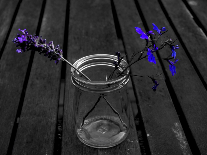 Still Dark And Colour – Julian Oates