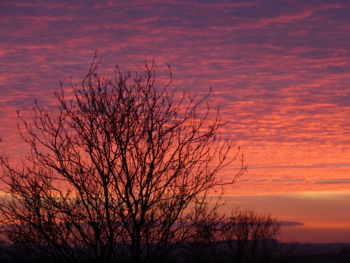 Sunset – Leisha Mofford Sunset - Leisha Mofford