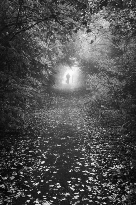 The Path – Adrian Chandler