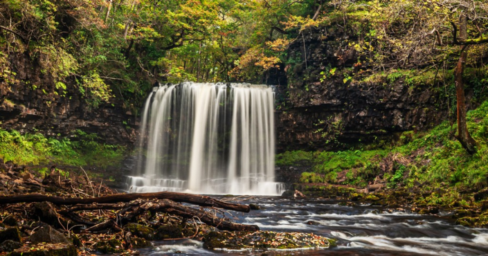 Woodland Waterfall – David Kallmeier