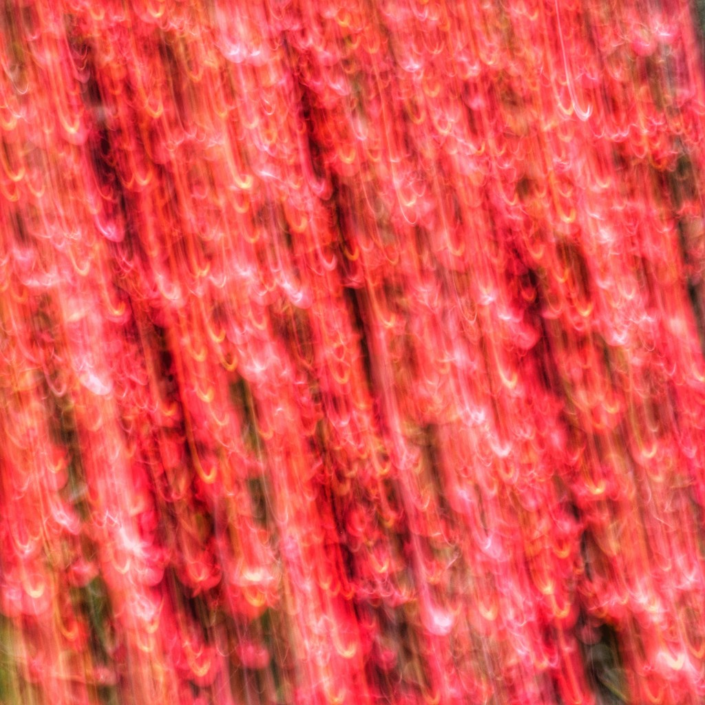 Crimson Cascade by Andrew Jackson
