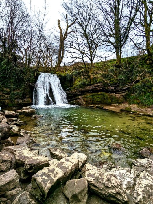 Waterfall Scene – Natalie Collins
