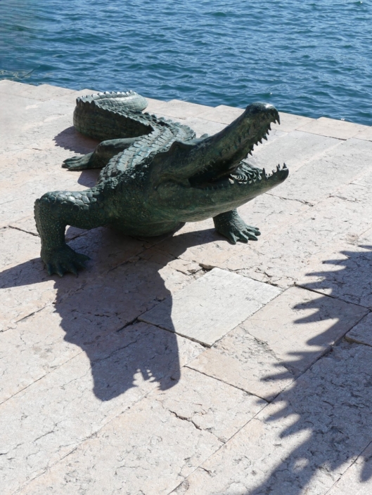 Crocodile Rock - Graham Fowler