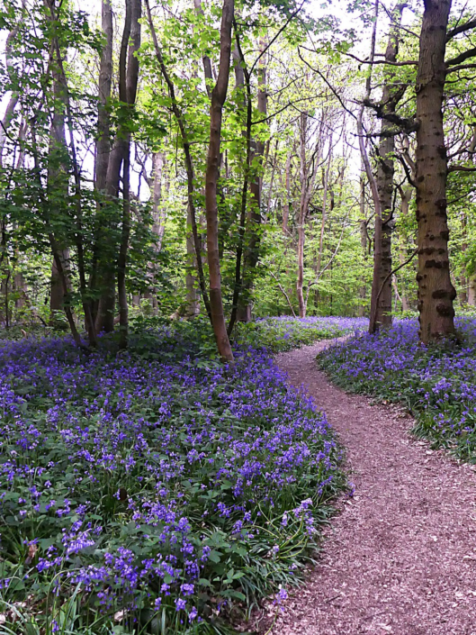 Everdon Stubbs – Graham Fowler