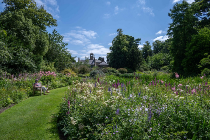 Howick Bog Garden – Kevan Brassington