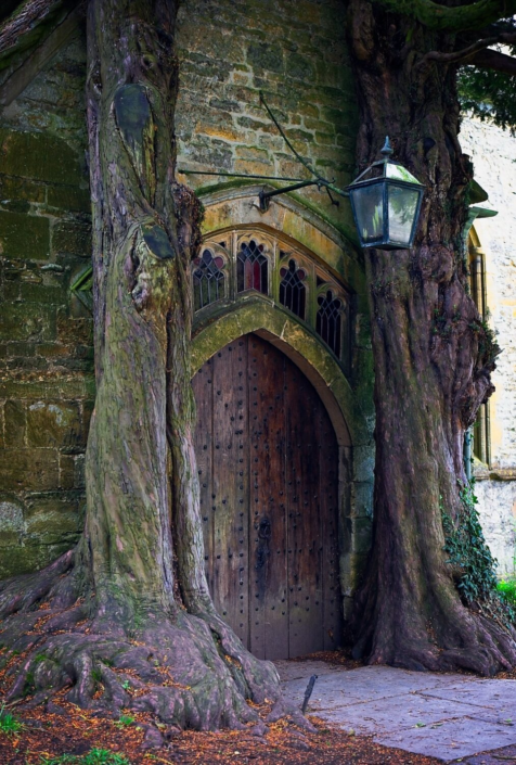 Nature Over Time by Jane Weston