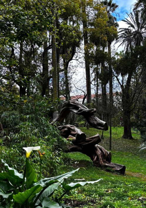 3Sleeping Dragon – Judith Picker
