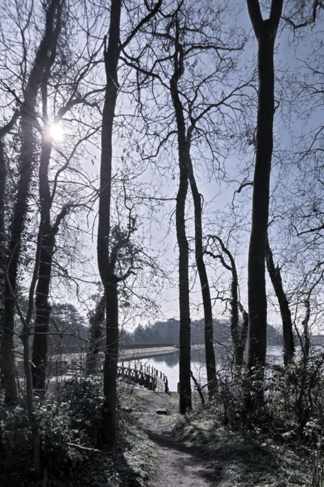 Winter Sun At Ravensthorpe – Chrissie Shun