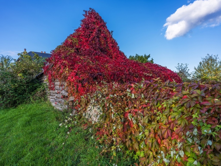 Autumn Colours - David Kallmeier