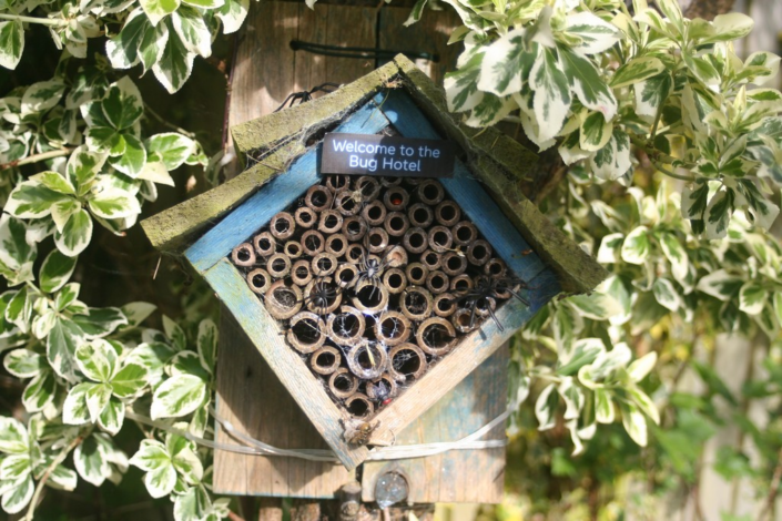 Bug Hotel Open For Business by Julian Oates
