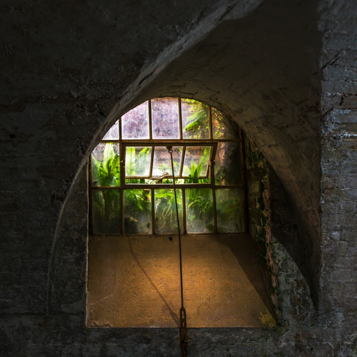 Cellar Window by David Kallmeier