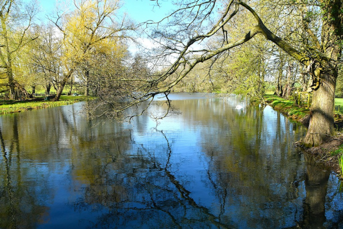 Fishponds by Graham Fowler