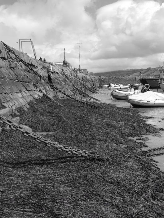 Low Tide by Judith Picker
