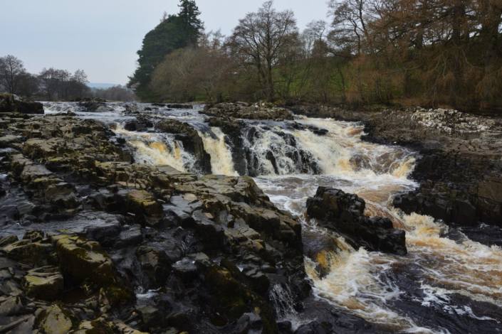 Low Force by Chris Bowers