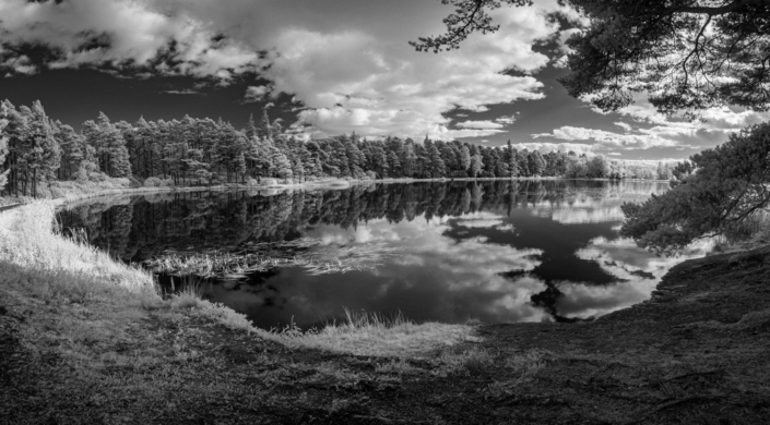 Nelly's Moss North - Kevan Brassington
