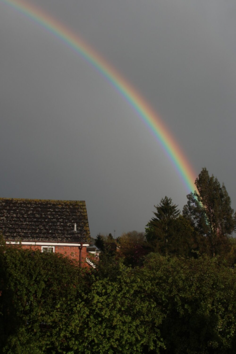 Rainbow1 by Jon Gilbert