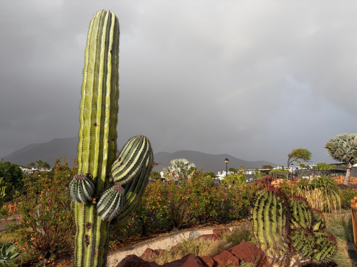 Storm Approaching by Leisha Mofford