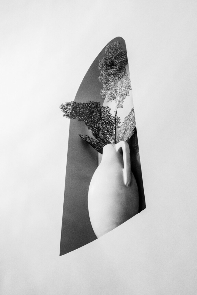 Vase by Colin Waite