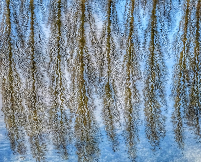 Ripples - Andrew Jackson