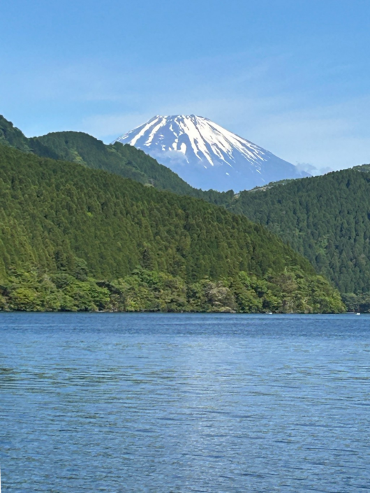 Mount Fuji by Liz Parker