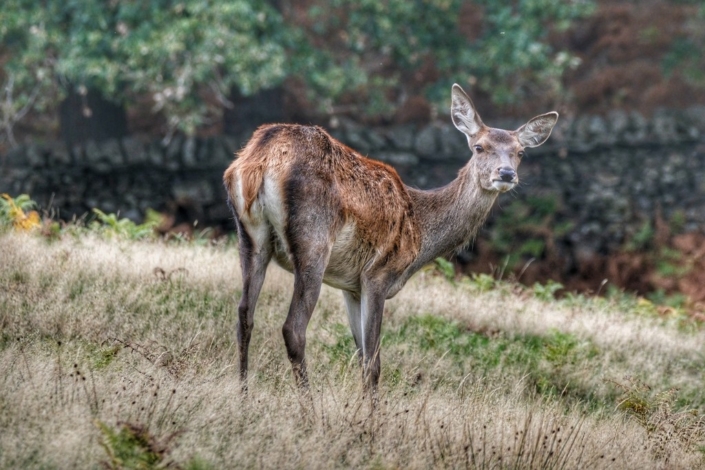 Does my bum look big - Andrew Jackson
