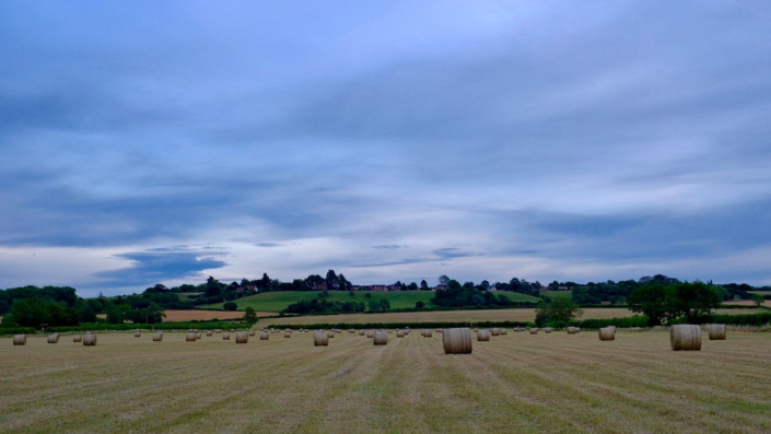 Harvest – Gerry McGovern